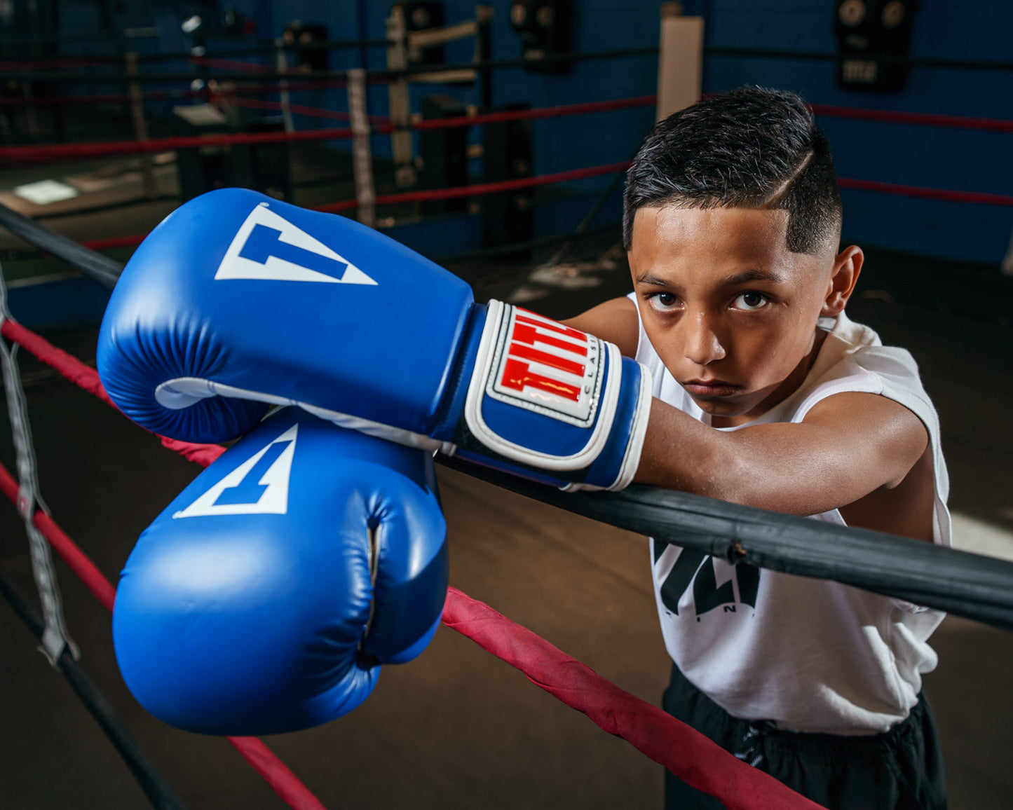 Classic Pro Style Training Boxing Gloves 3.0