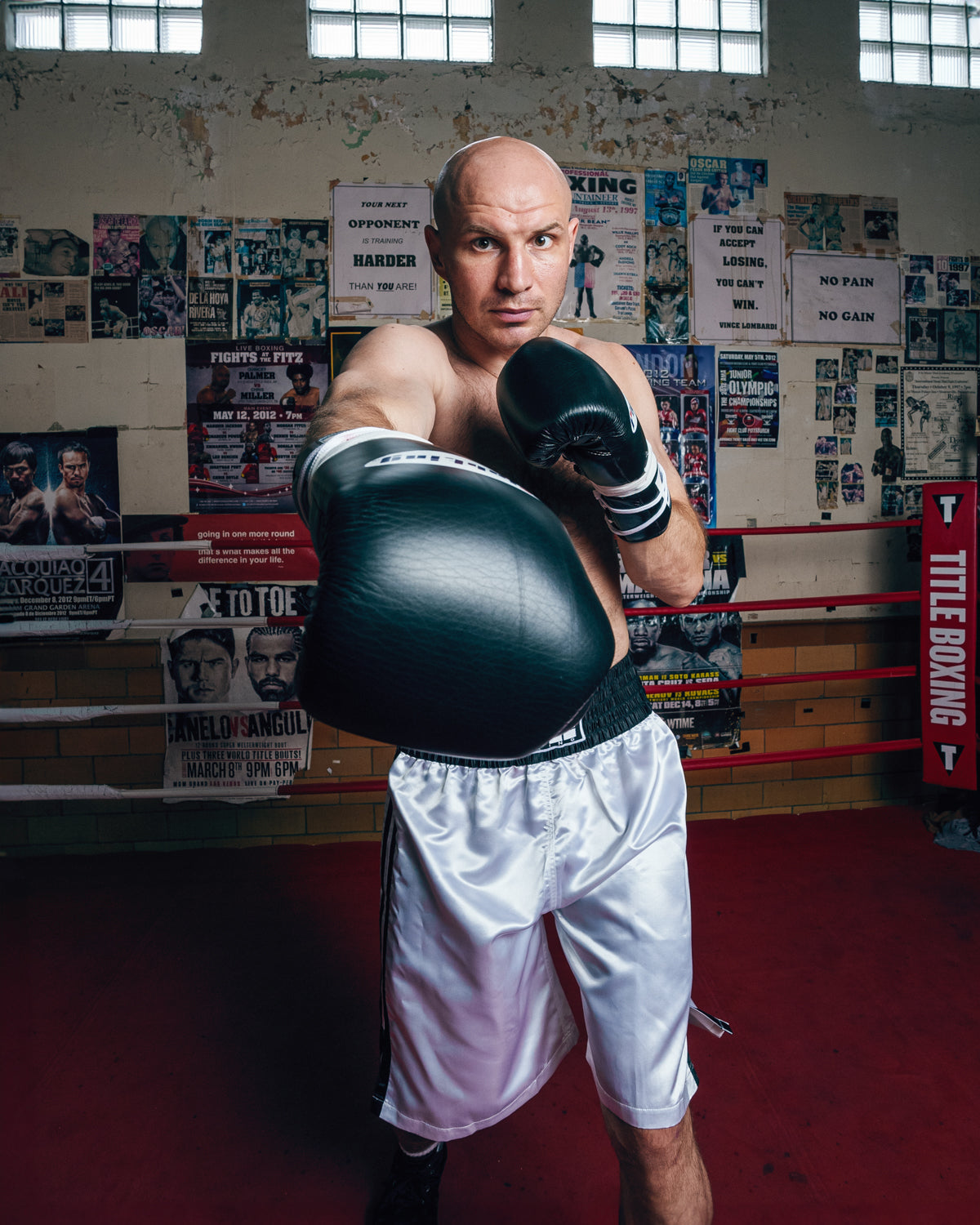 Certified Professional Boxing Gloves II
