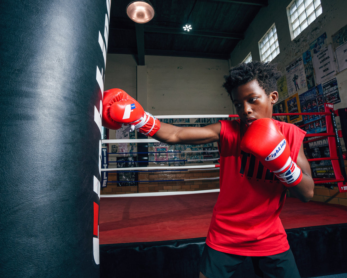 Certified Professional Boxing Gloves II