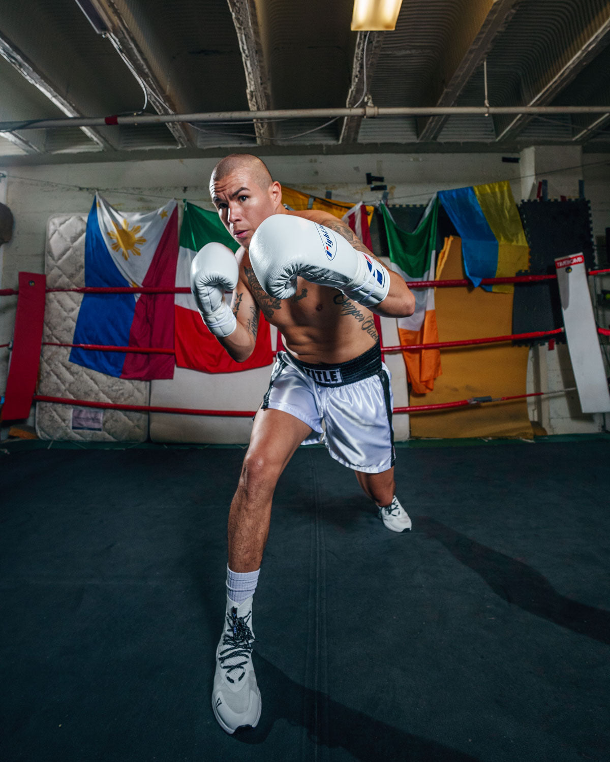 Certified Professional Boxing Gloves II