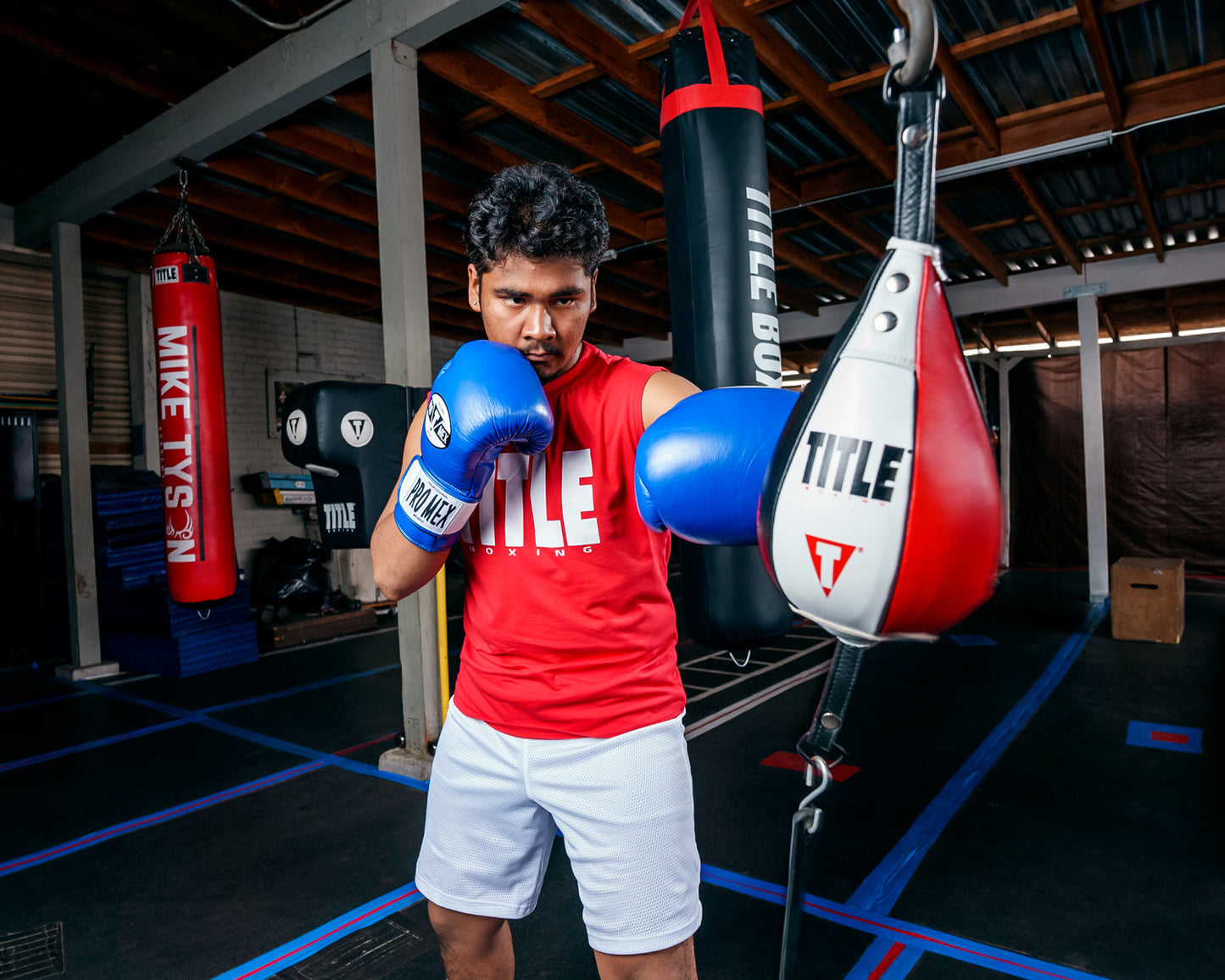 Professional Bag Boxing Gloves V3.0