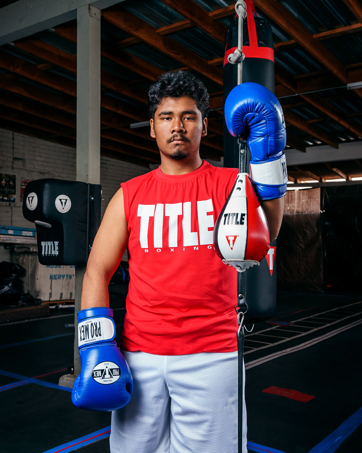 Professional Bag Boxing Gloves V3.0