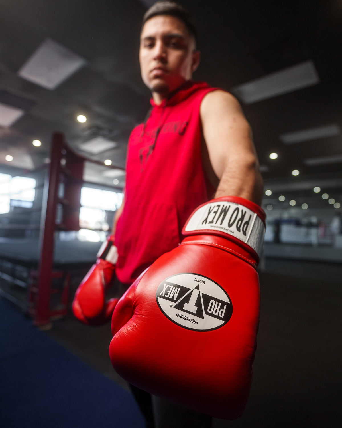 Professional Bag Boxing Gloves V3.0