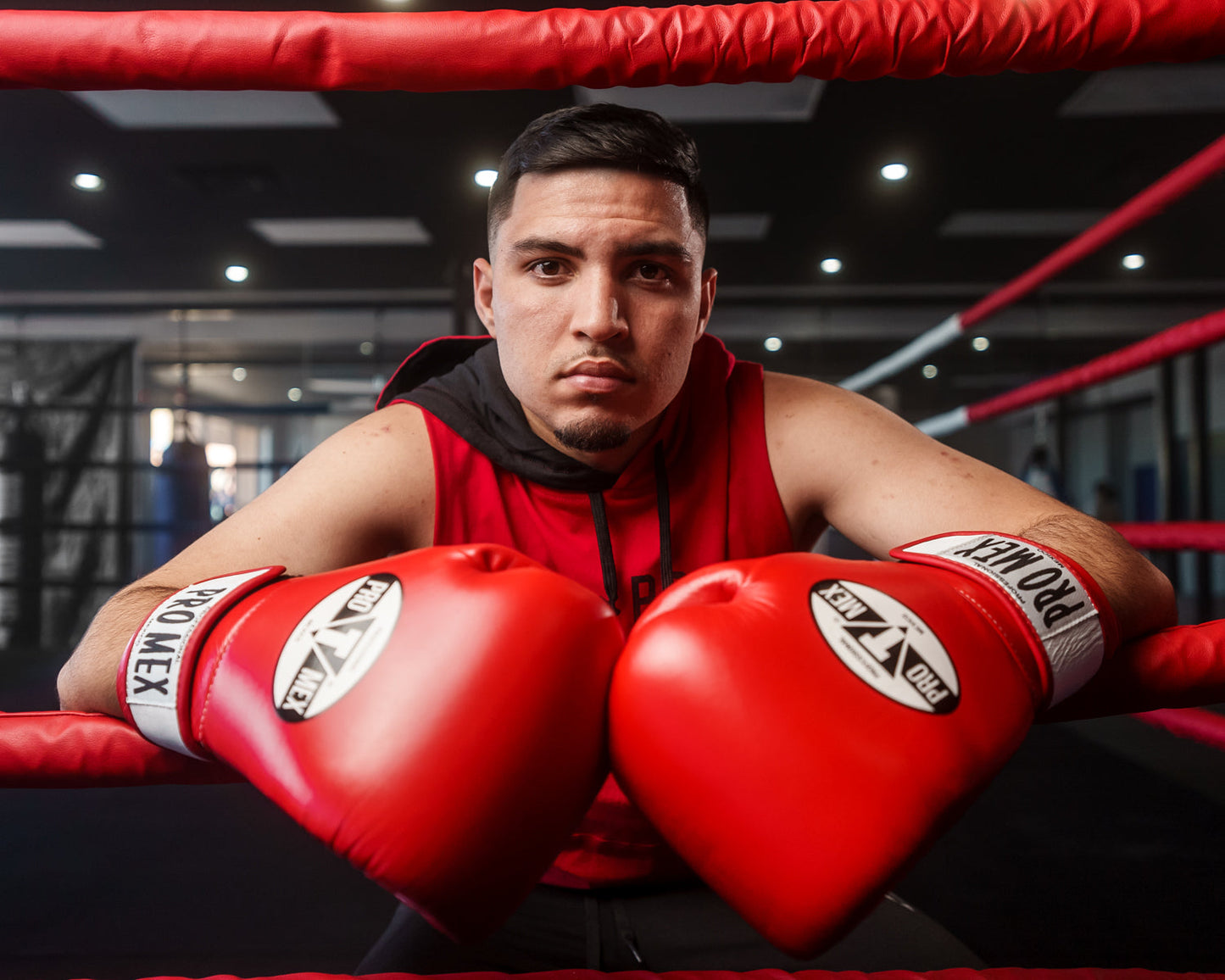 Professional Bag Boxing Gloves V3.0