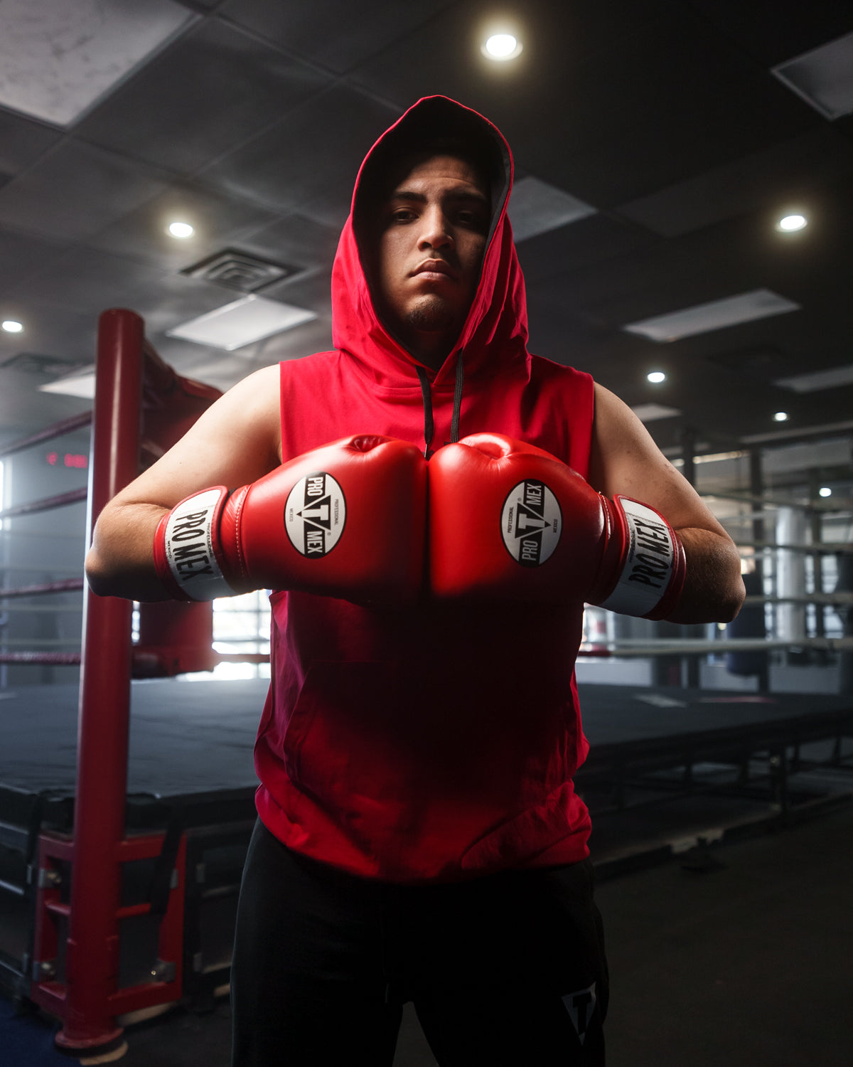 Professional Bag Boxing Gloves V3.0