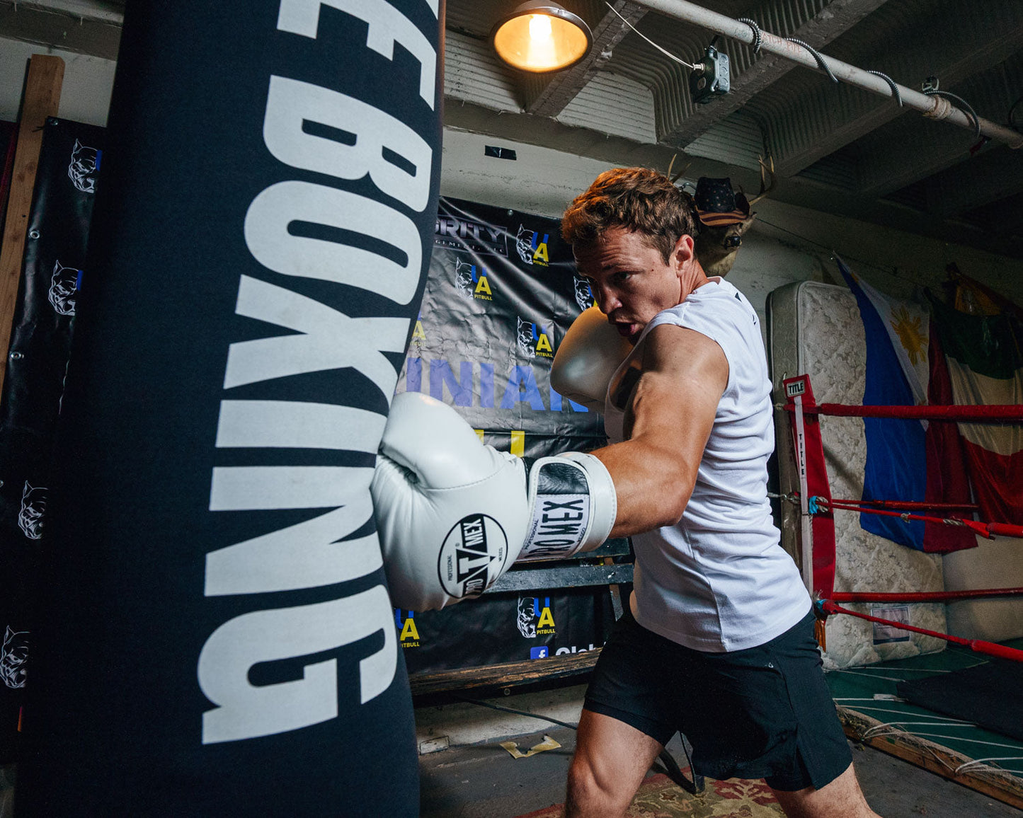 Professional Bag Boxing Gloves V3.0