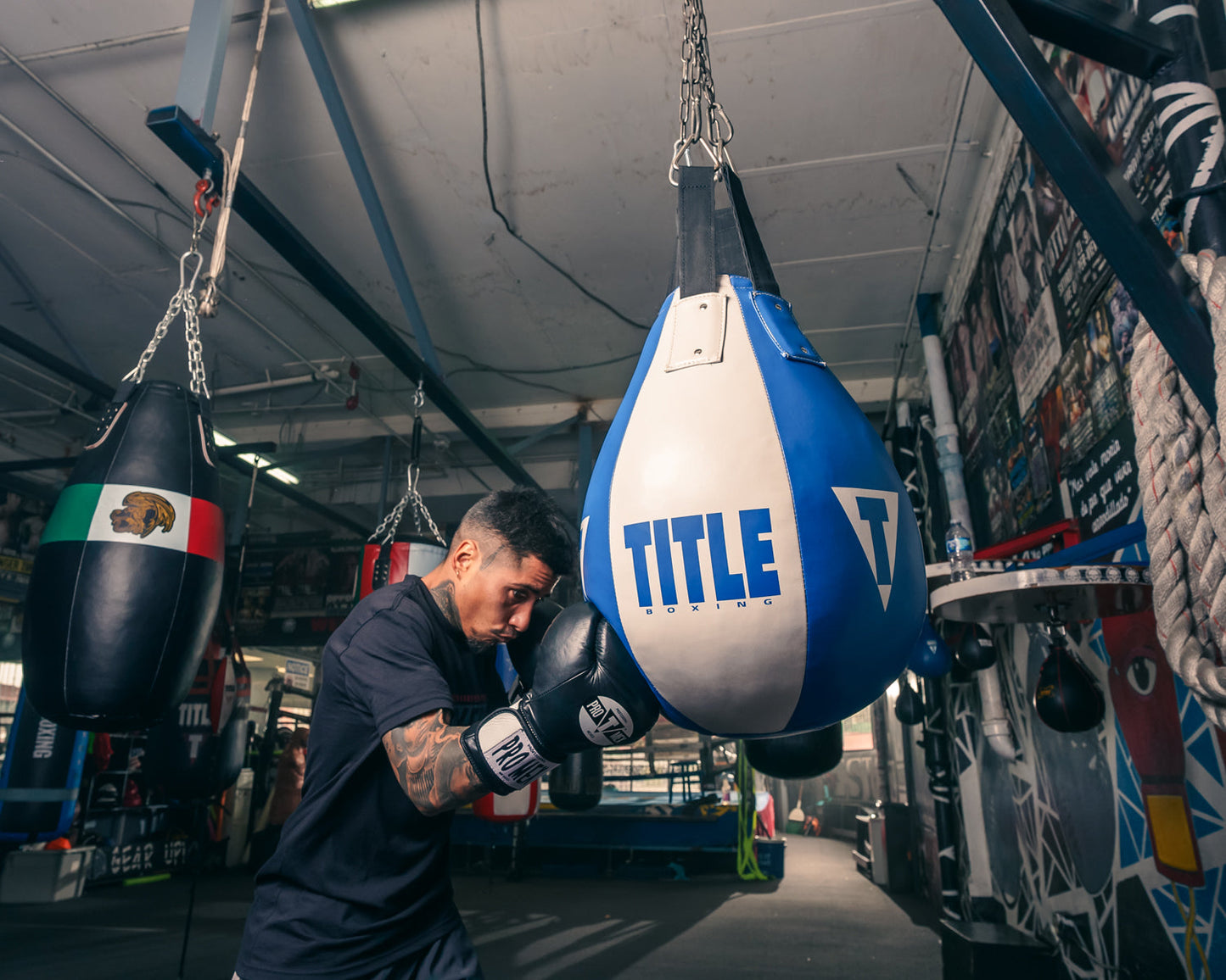 Professional Bag Boxing Gloves V3.0