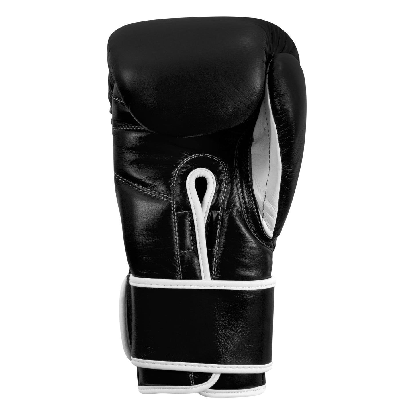 Professional Training Boxing Gloves 3.0