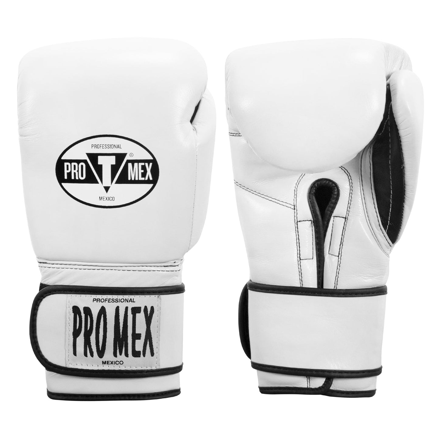 Professional Training Boxing Gloves 3.0