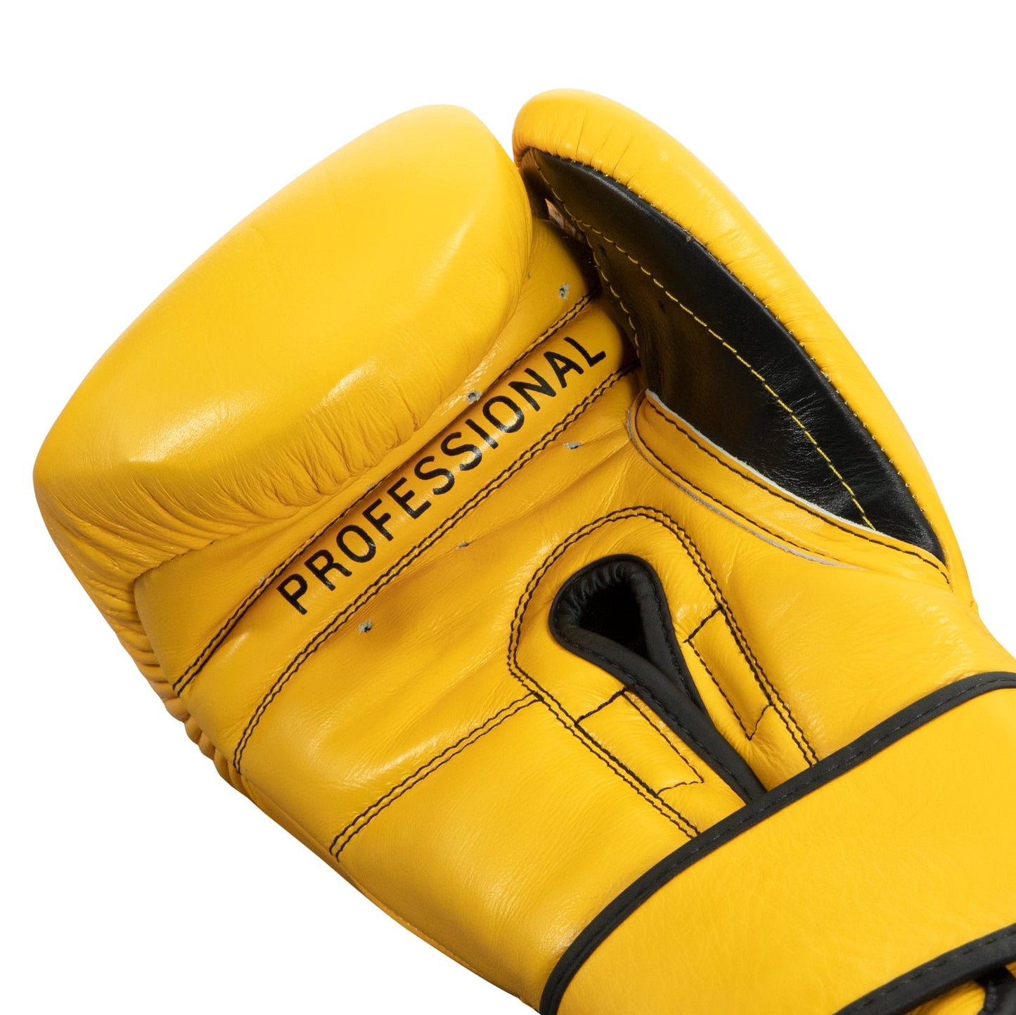 Professional Training Boxing Gloves 3.0