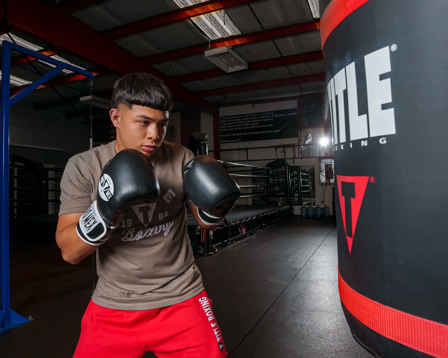 Professional Training Boxing Gloves 3.0