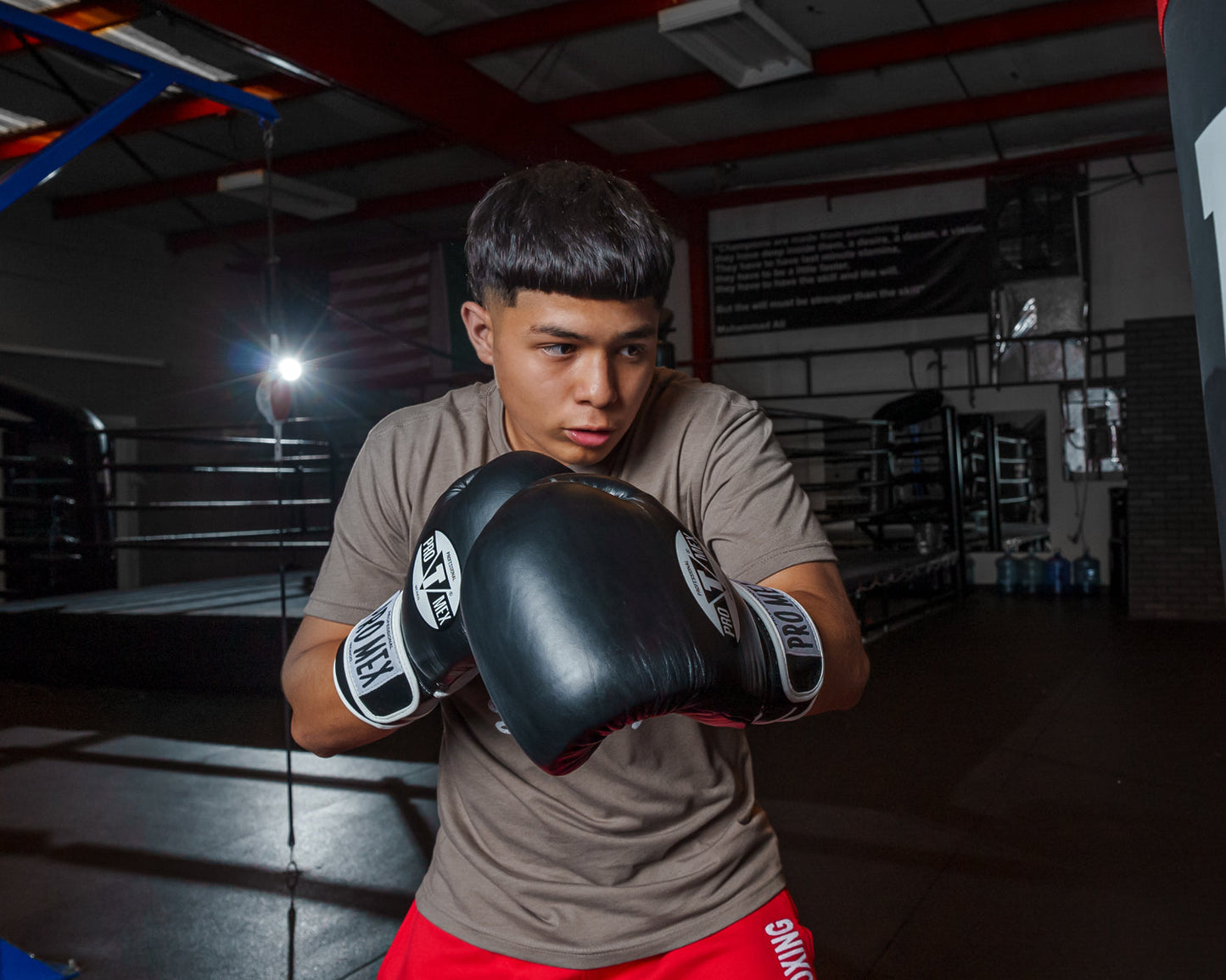 Professional Training Boxing Gloves 3.0