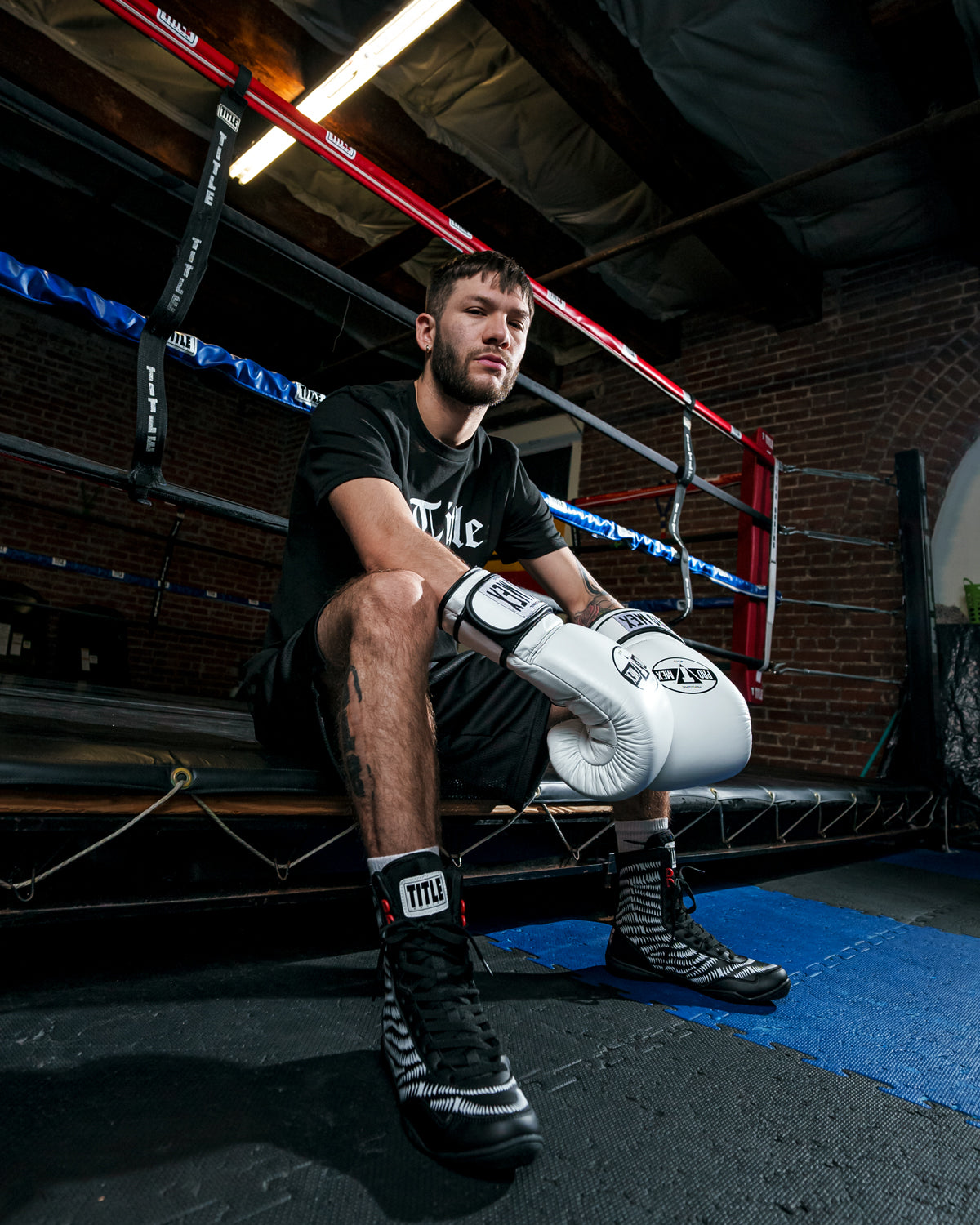 Professional Training Boxing Gloves 3.0