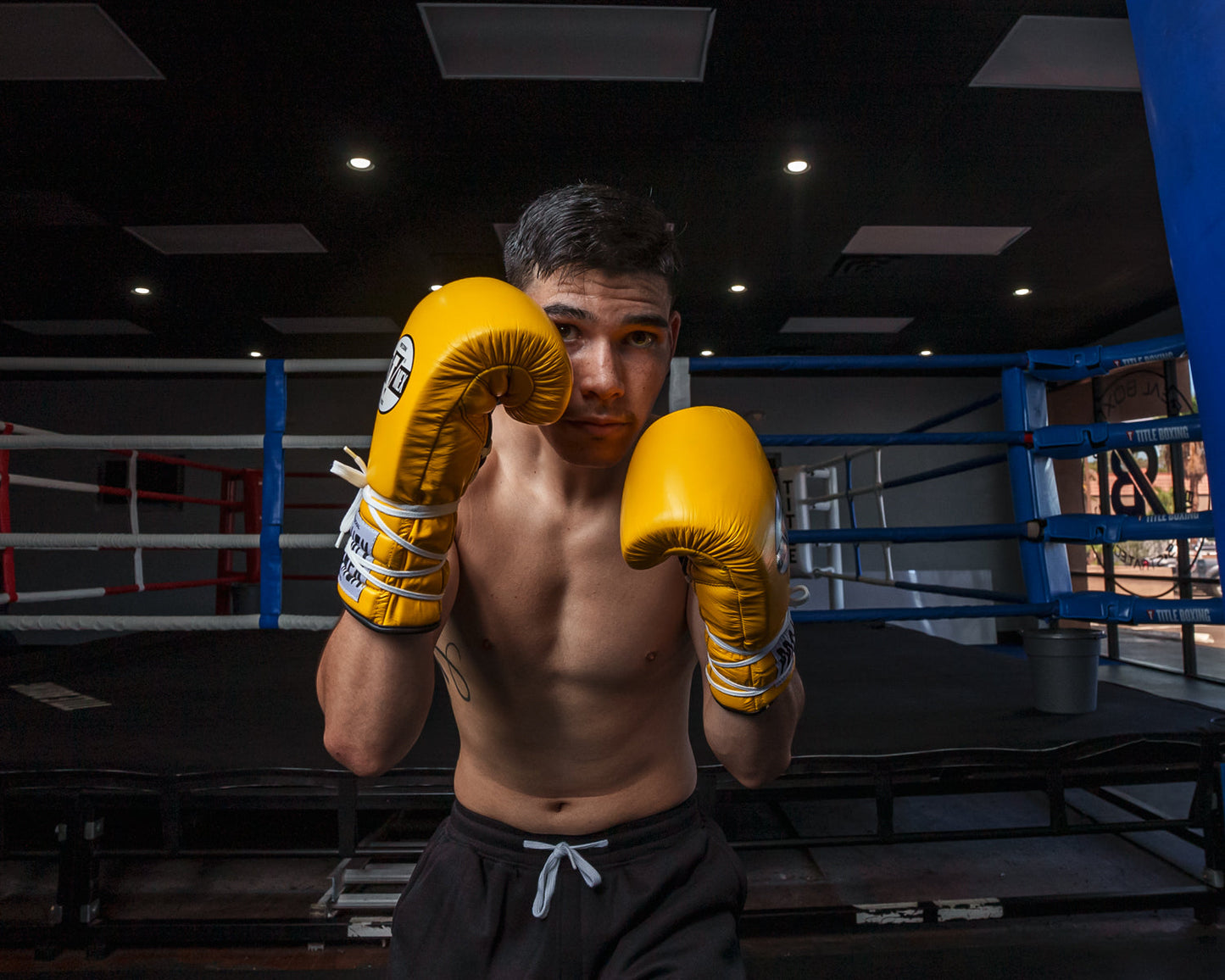 Professional Lace Sparring Boxing Gloves V3.0