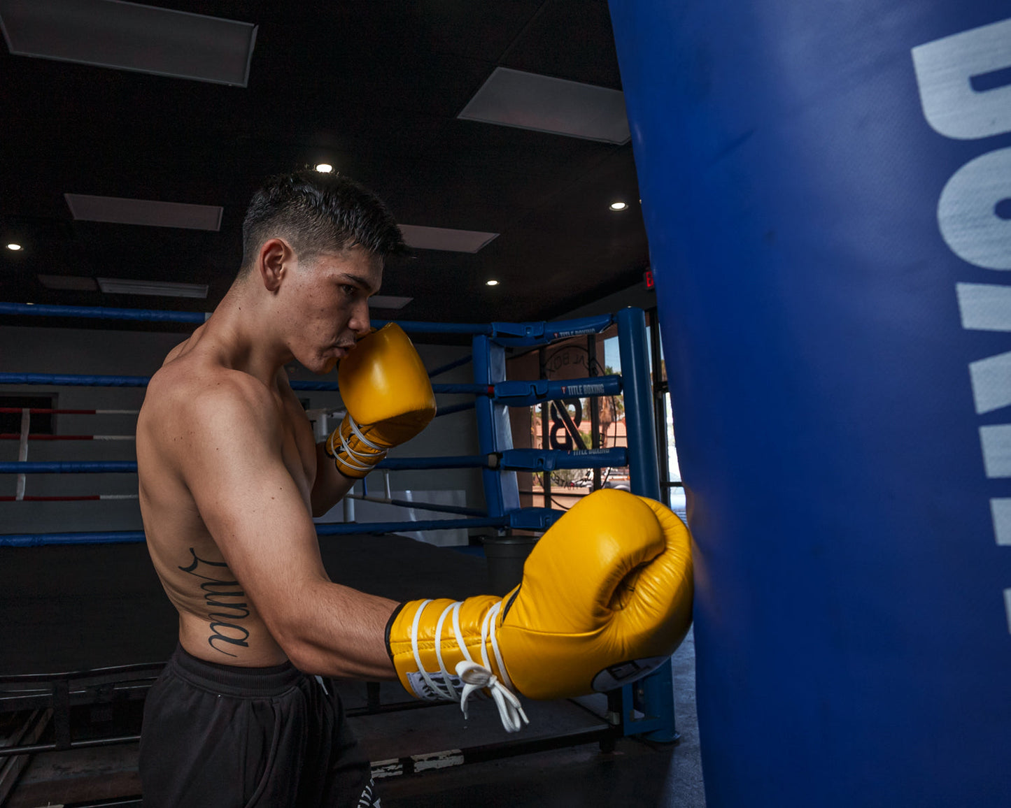 Professional Lace Sparring Boxing Gloves V3.0