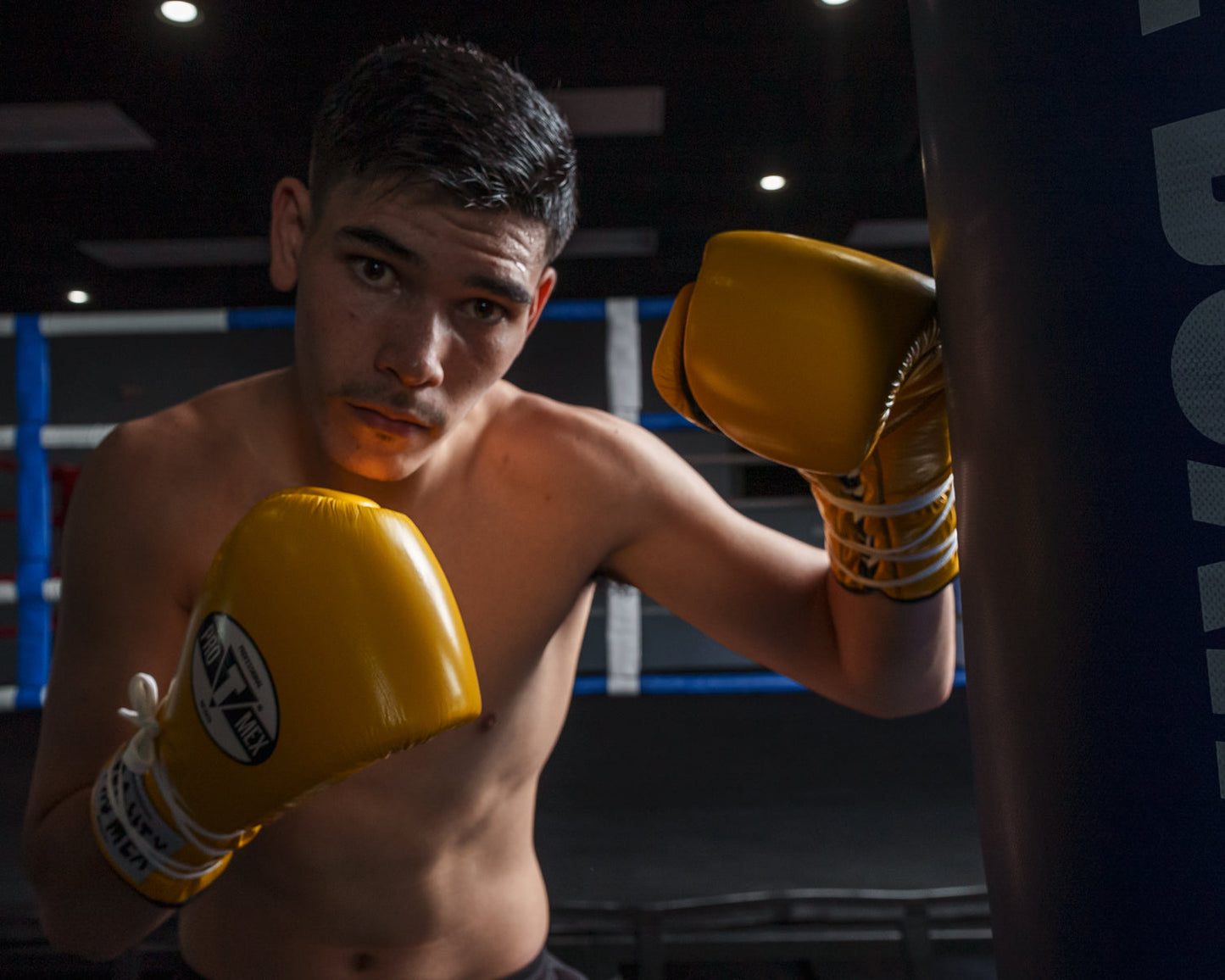 Professional Lace Sparring Boxing Gloves V3.0