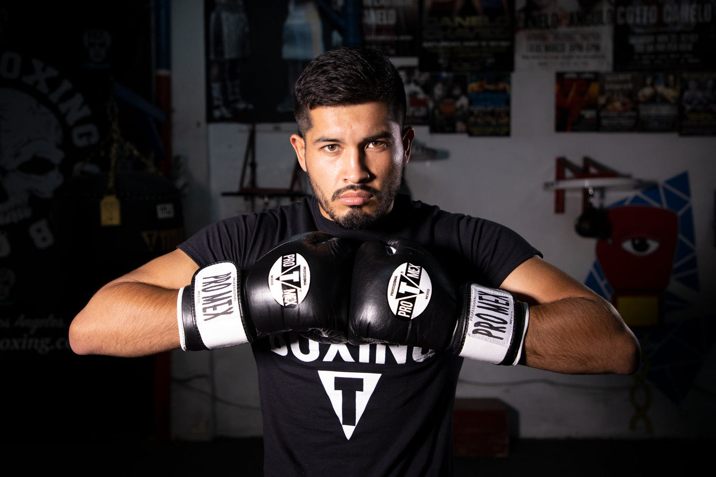 Professional Bag Boxing Gloves V3.0