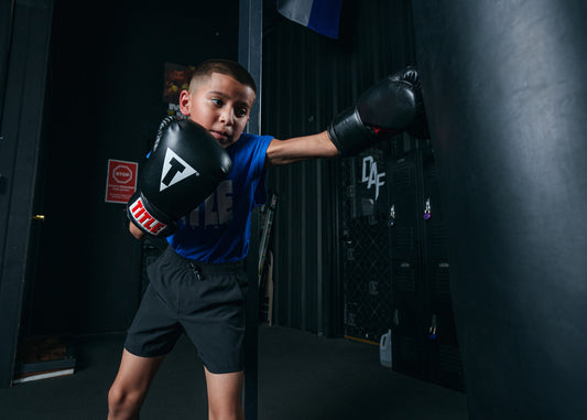 Classic Boxing Gloves