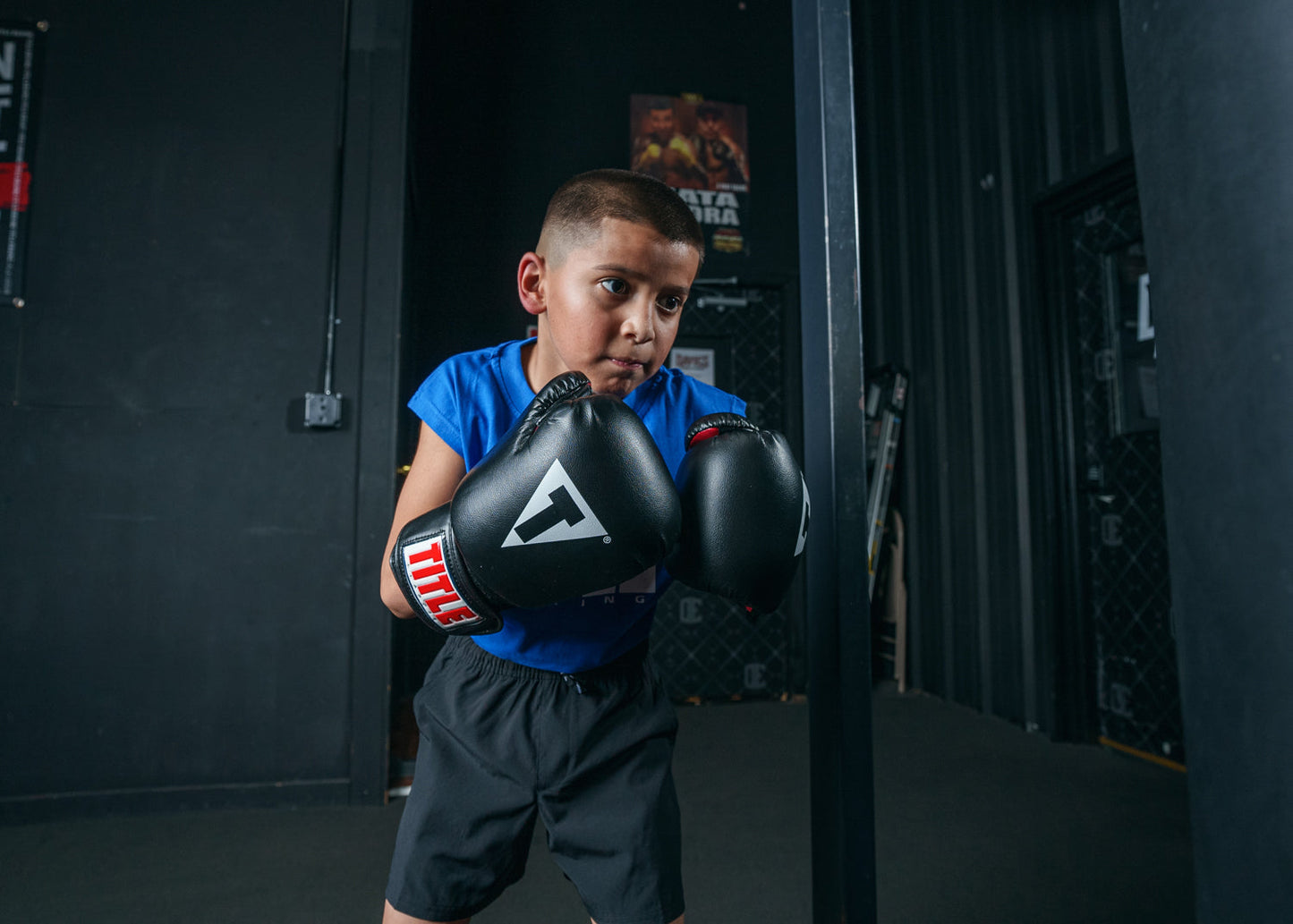 Classic Boxing Gloves