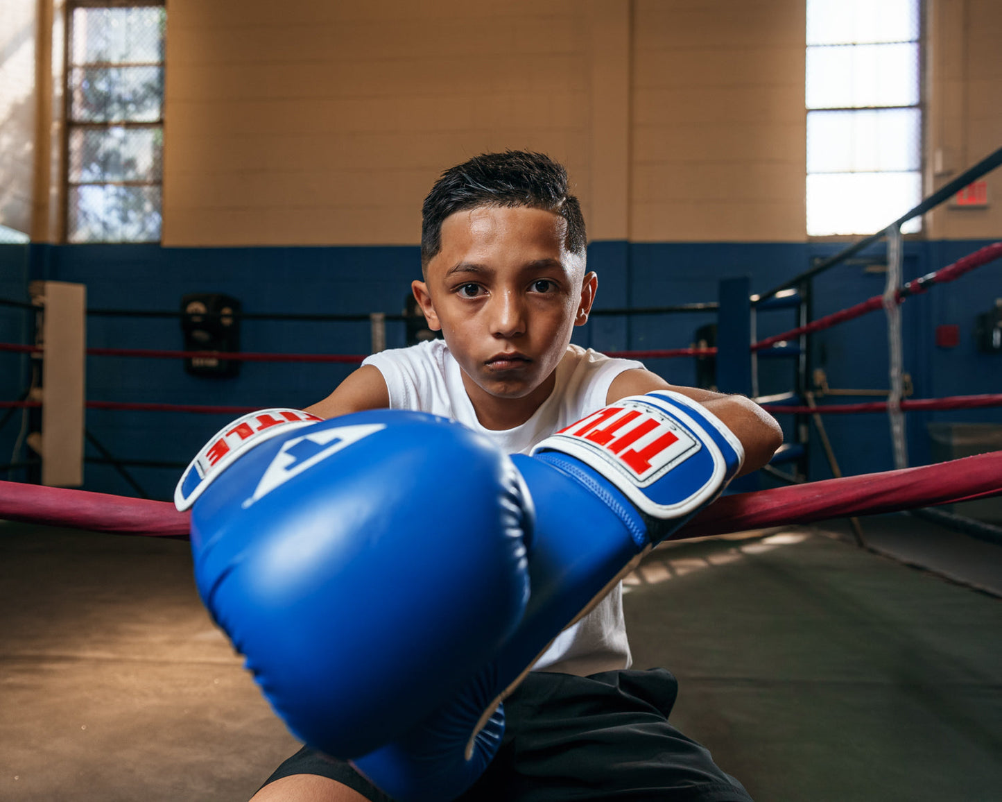 Classic Pro Style Training Boxing Gloves 3.0