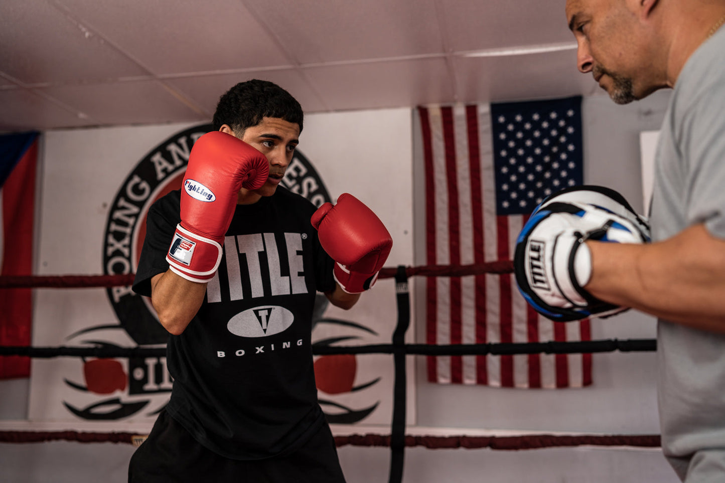 Professional Training Boxing Gloves
