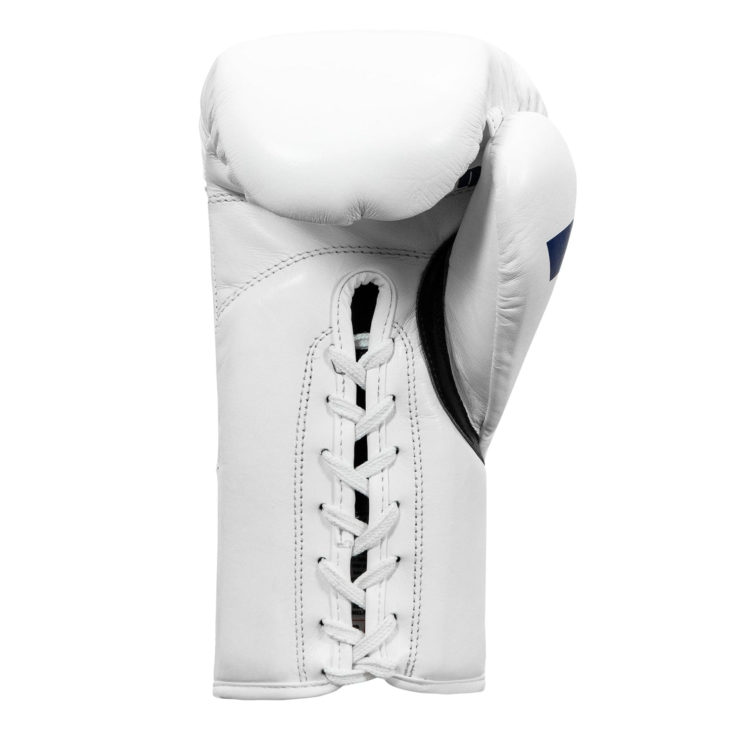 Certified Professional Boxing Gloves II