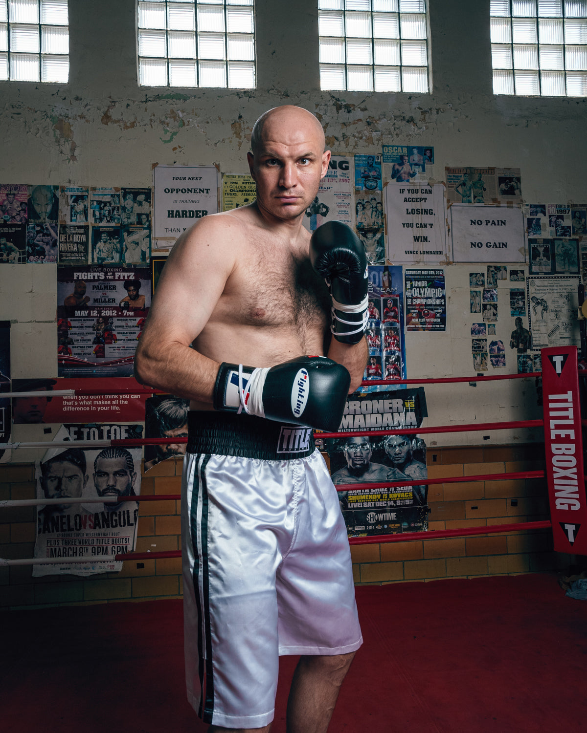 Certified Professional Boxing Gloves II