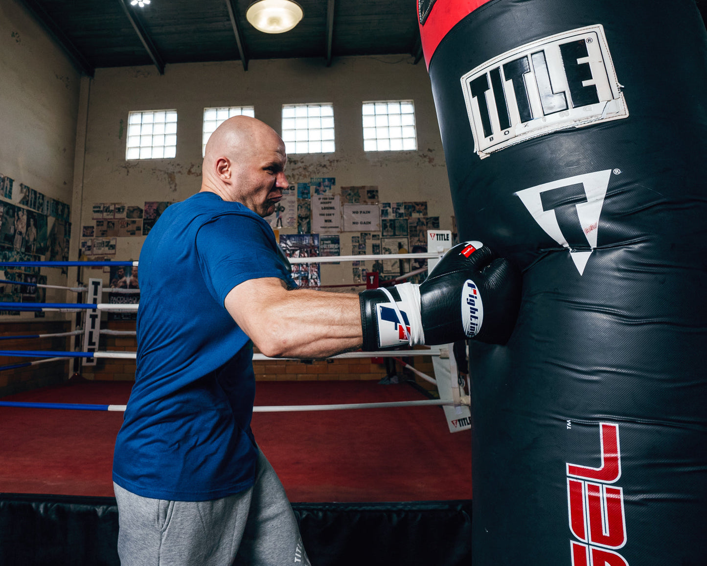 Certified Professional Boxing Gloves II