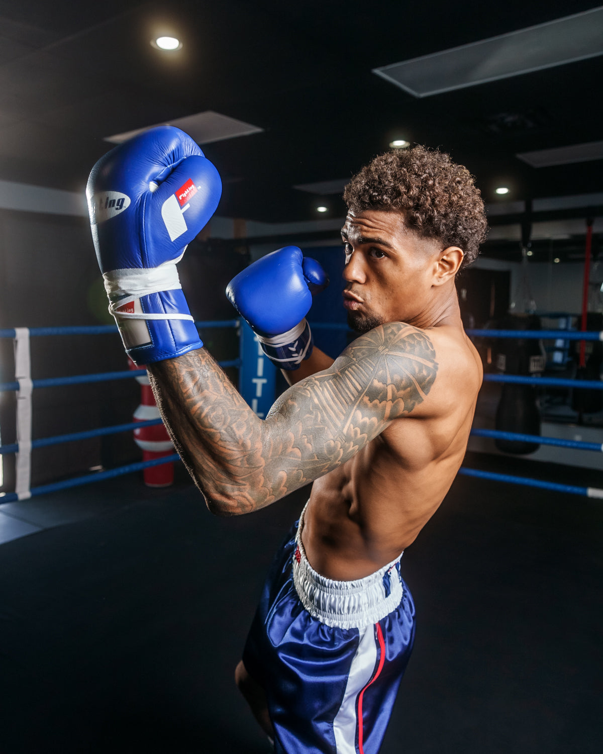 Certified Professional Boxing Gloves II