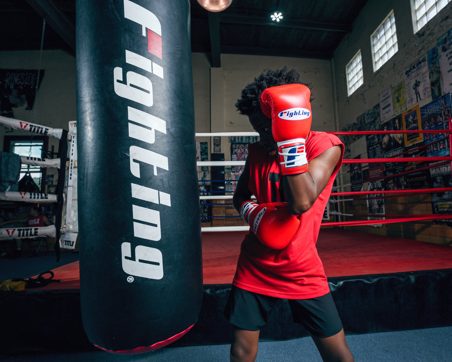 Certified Professional Boxing Gloves II