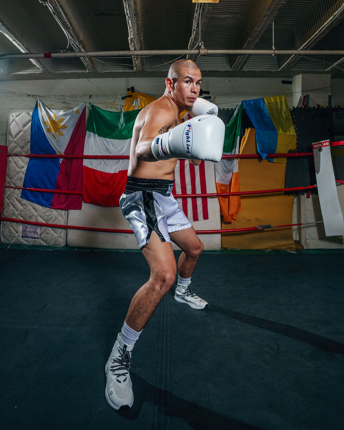 Certified Professional Boxing Gloves II