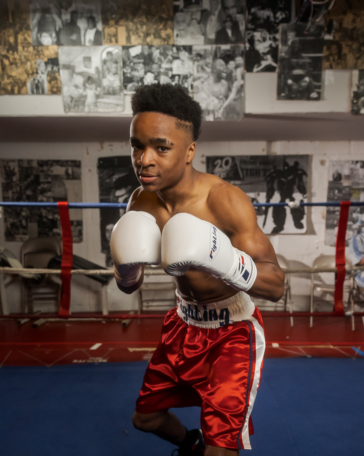 Certified Professional Boxing Gloves II