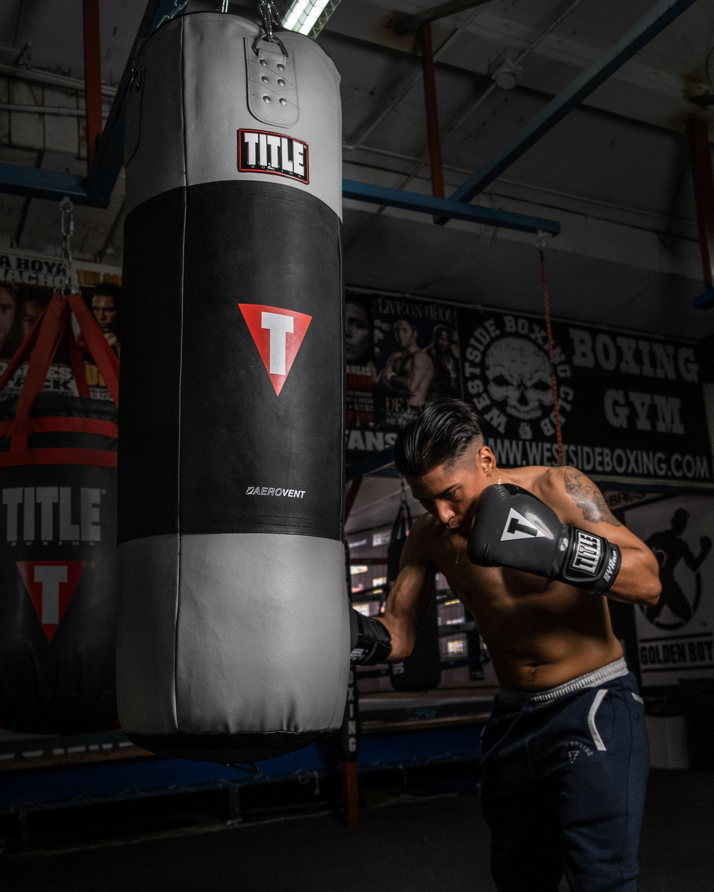Boxing Gel  Boxing Gloves 2.0