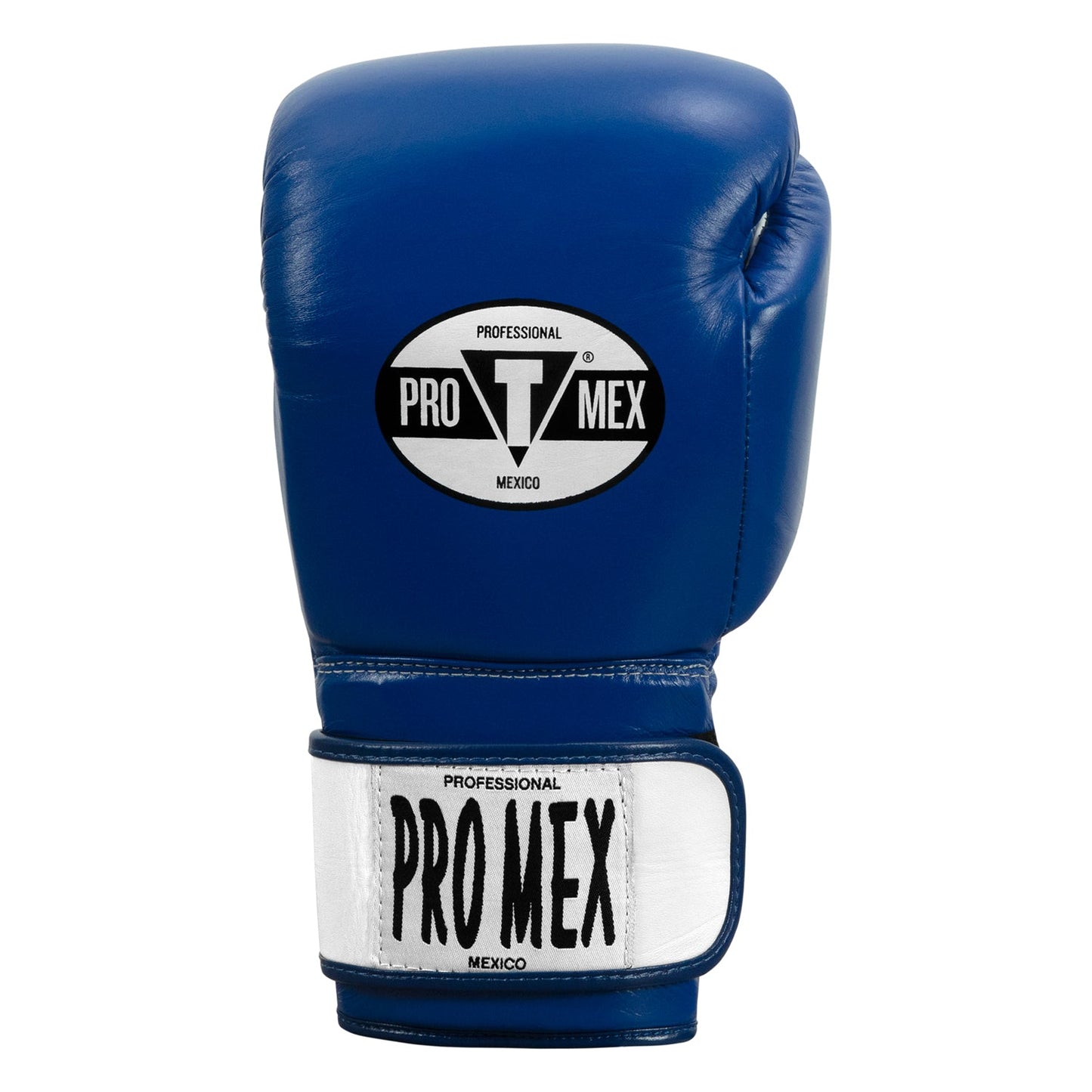 Professional Bag Boxing Gloves V3.0