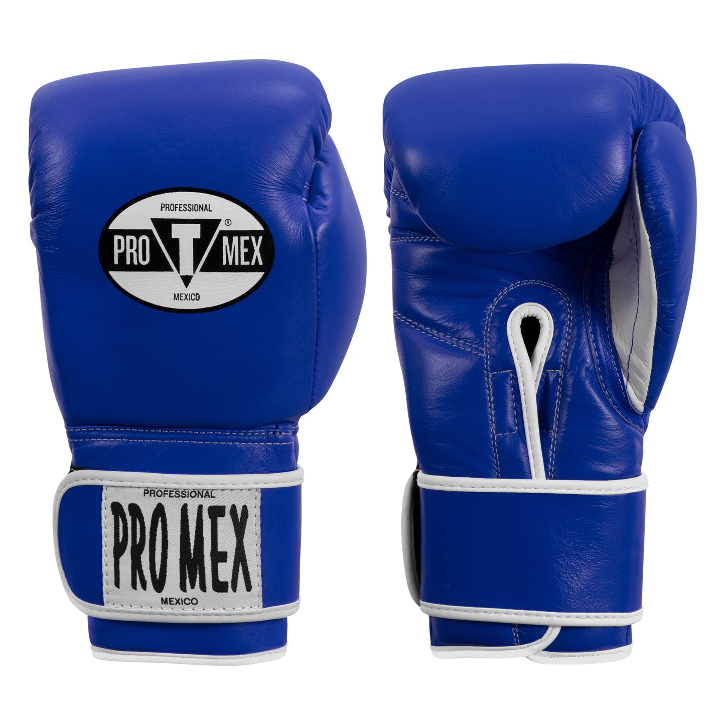 Professional Training Boxing Gloves 3.0