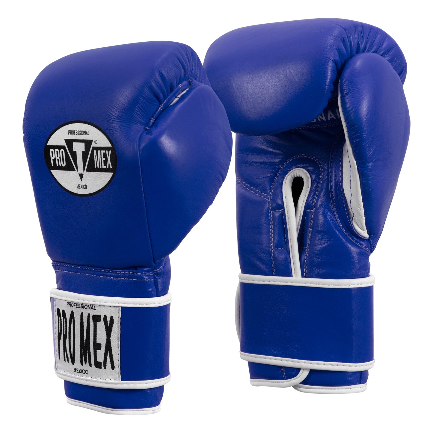 Professional Training Boxing Gloves 3.0