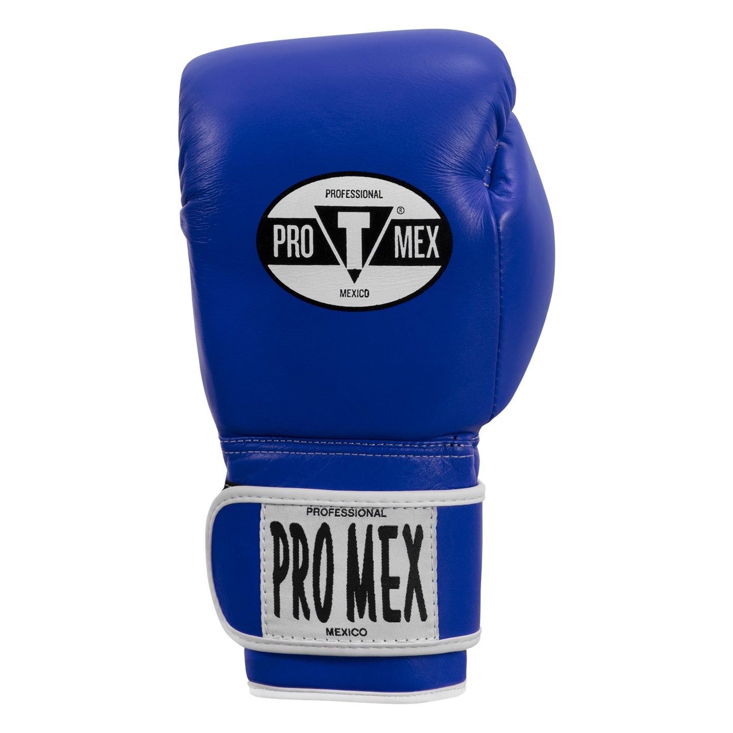 Professional Training Boxing Gloves 3.0