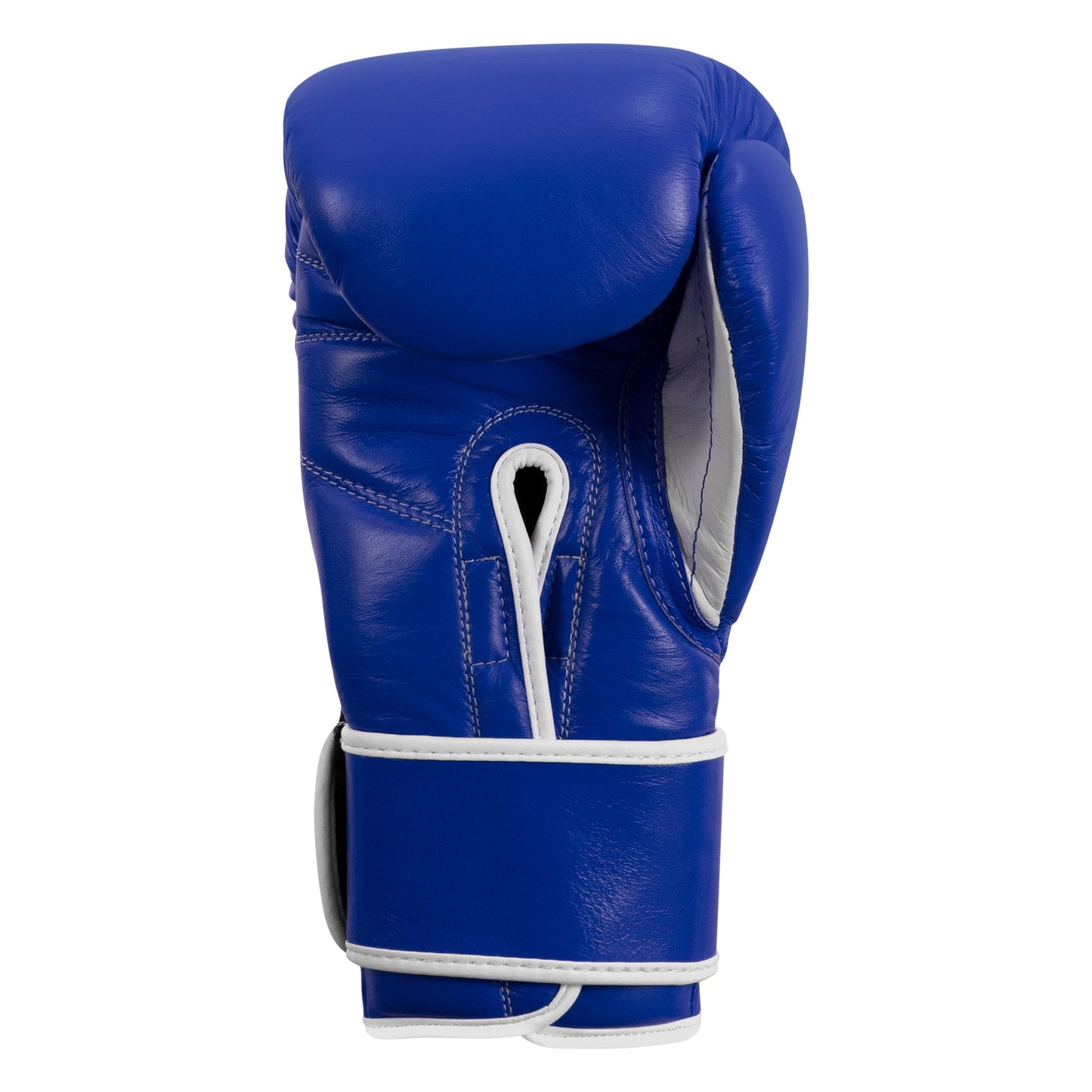 Professional Training Boxing Gloves 3.0