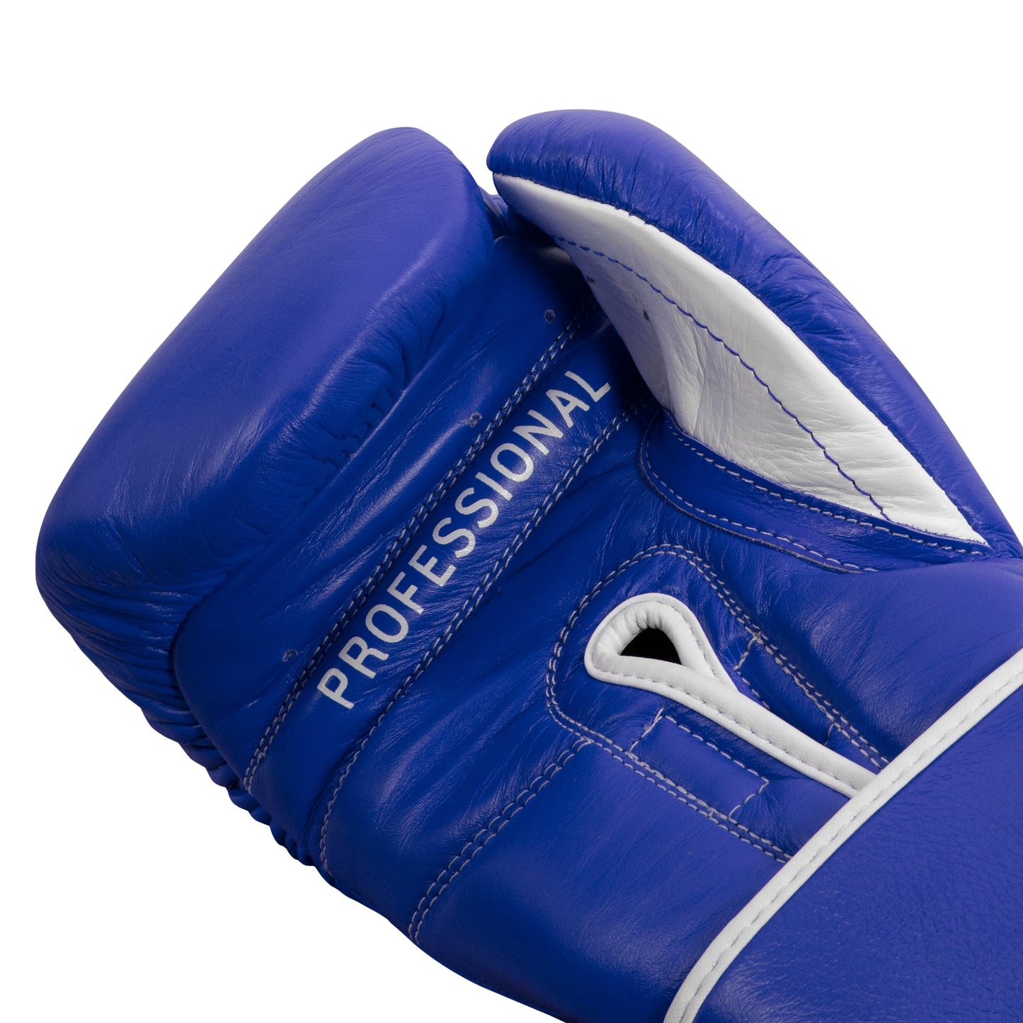 Professional Training Boxing Gloves 3.0
