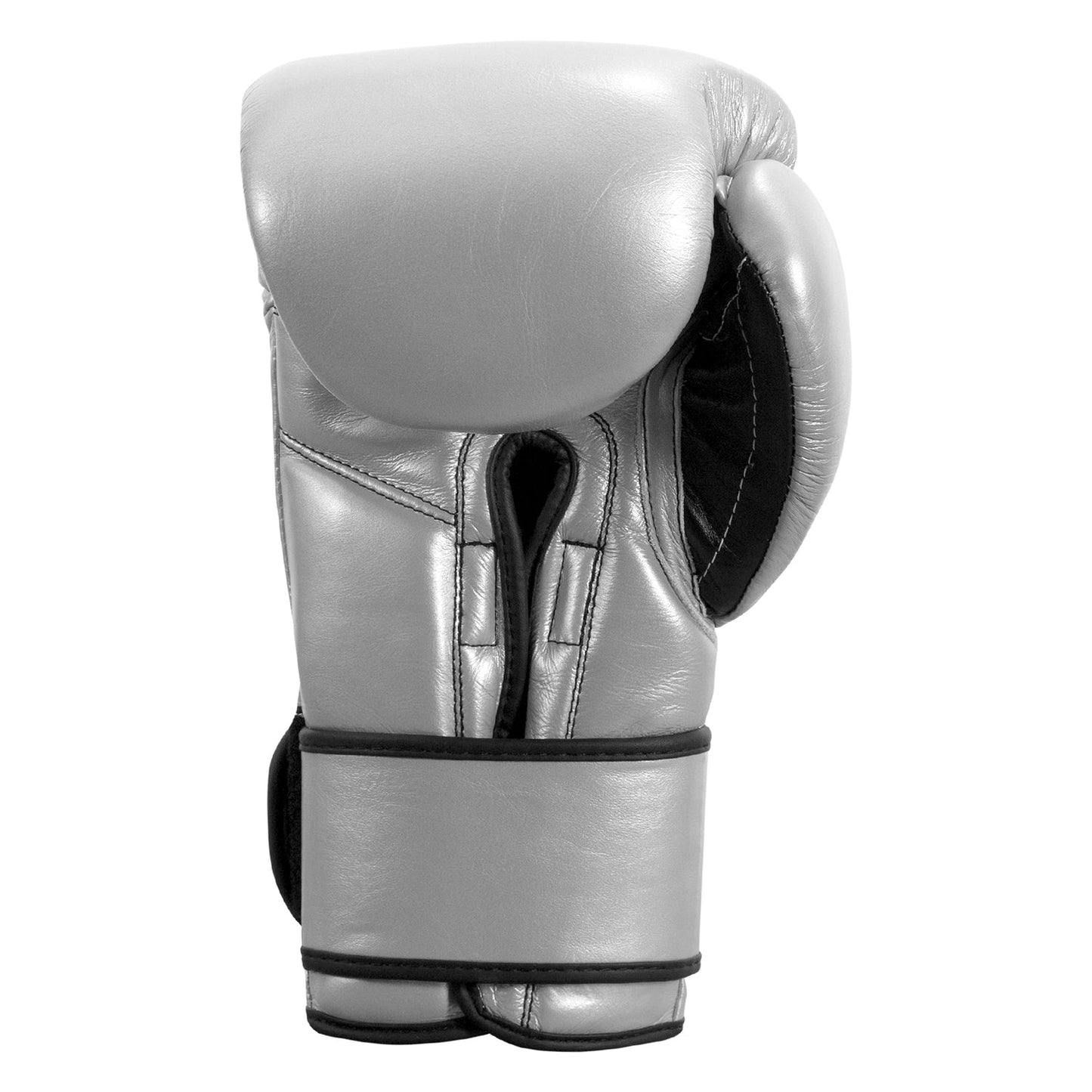 Professional Training Boxing Gloves 3.0