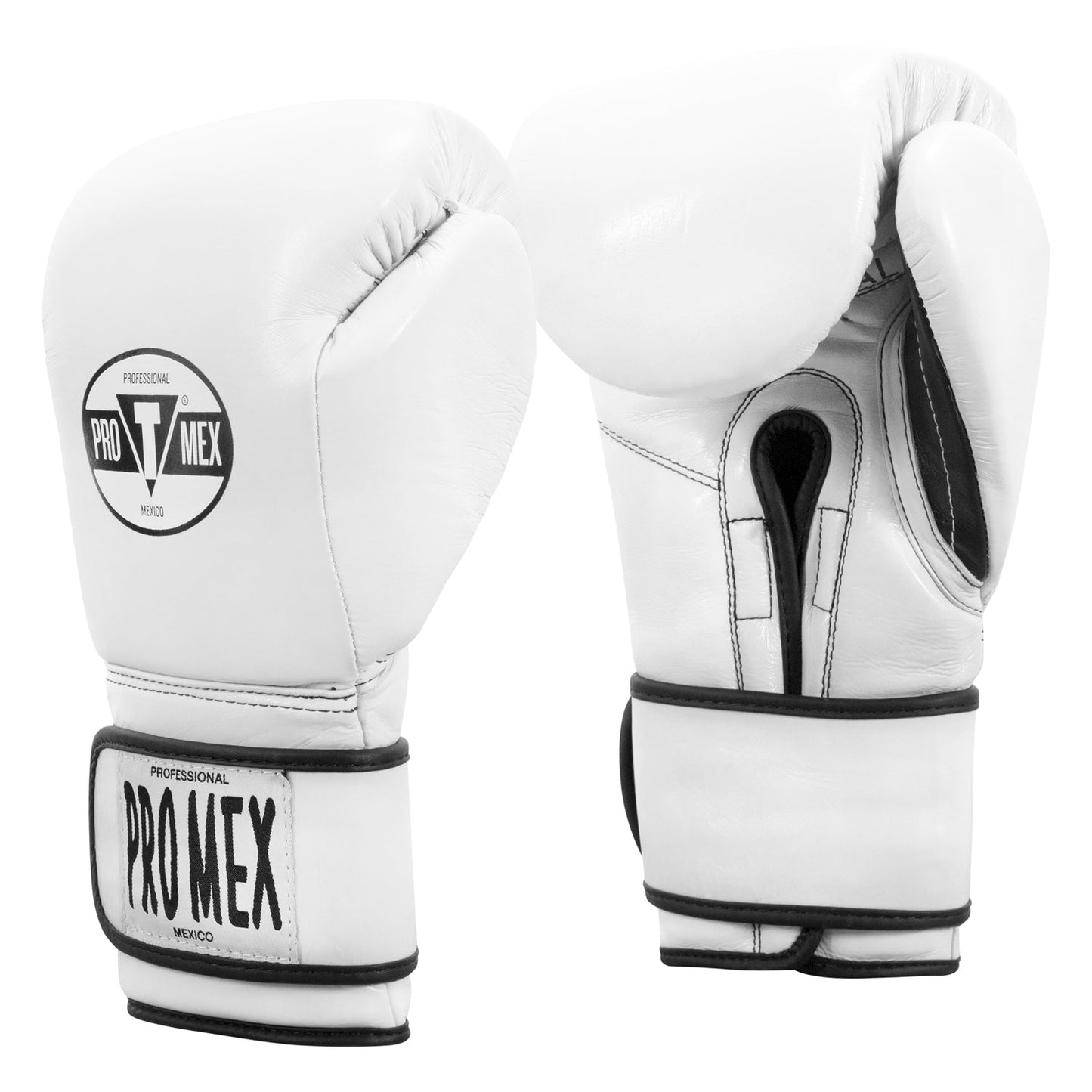 Professional Training Boxing Gloves 3.0