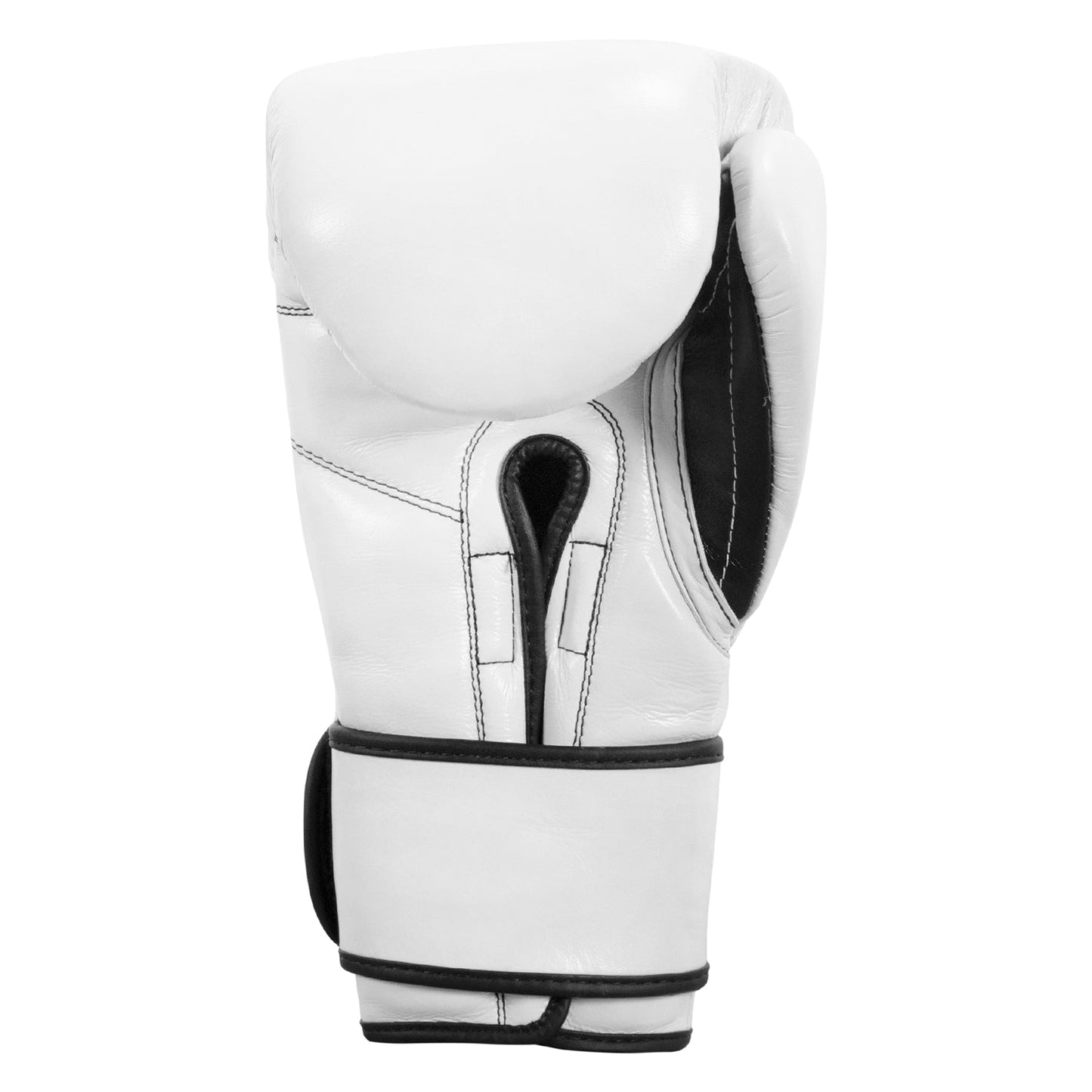 Professional Training Boxing Gloves 3.0