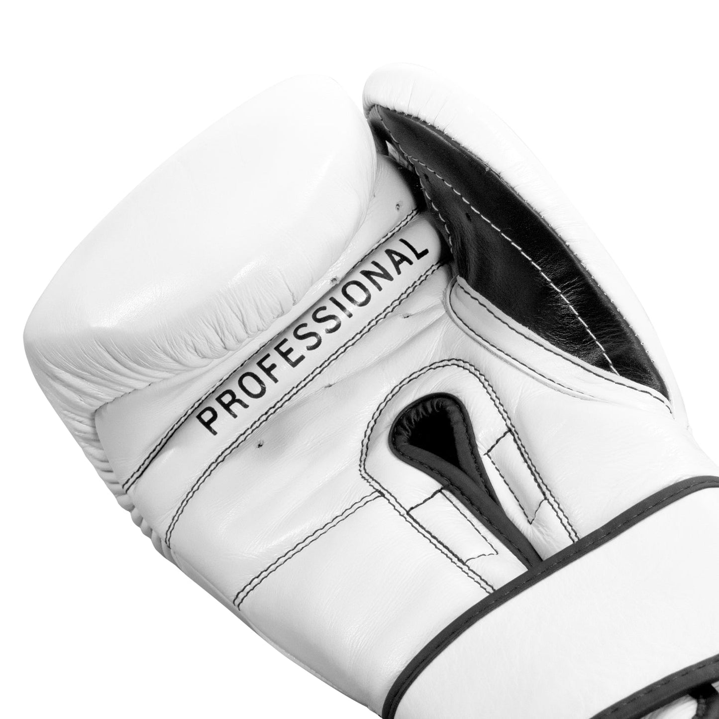 Professional Training Boxing Gloves 3.0