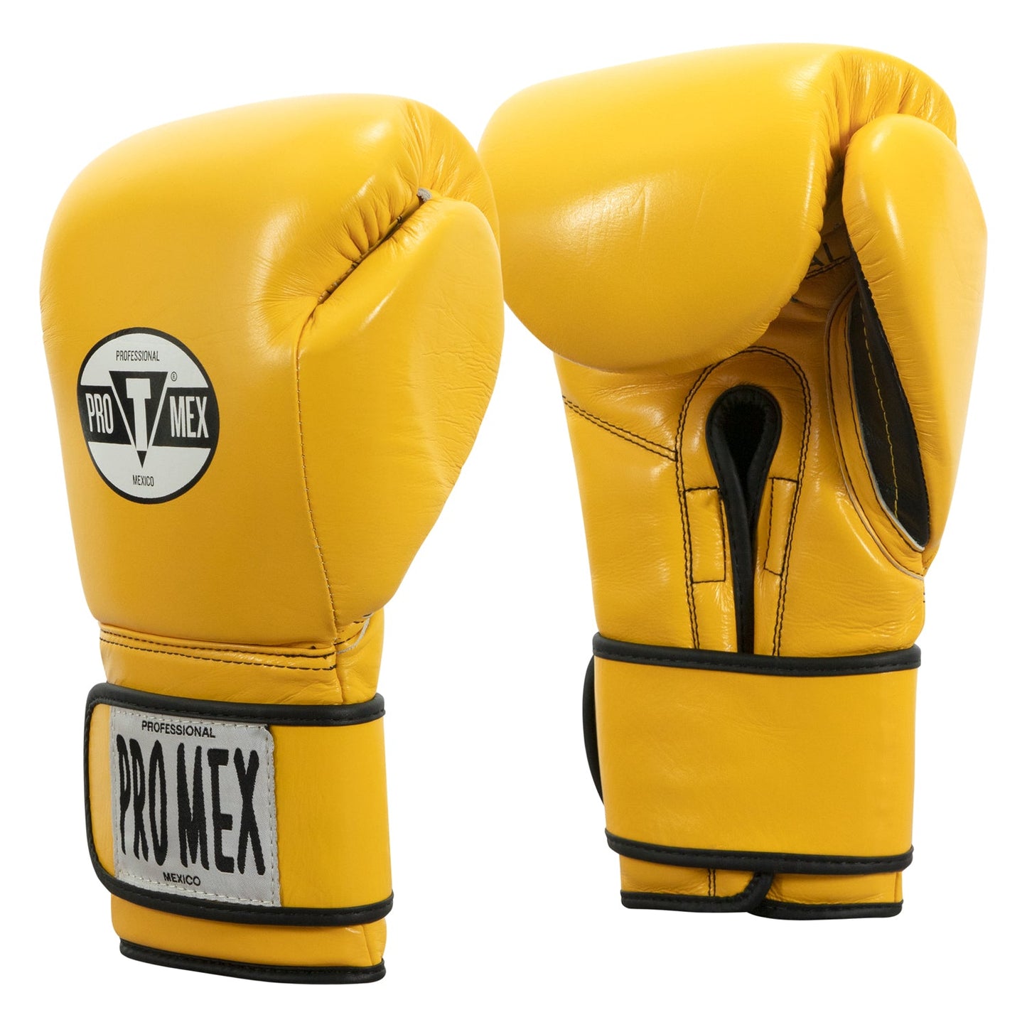Professional Training Boxing Gloves 3.0
