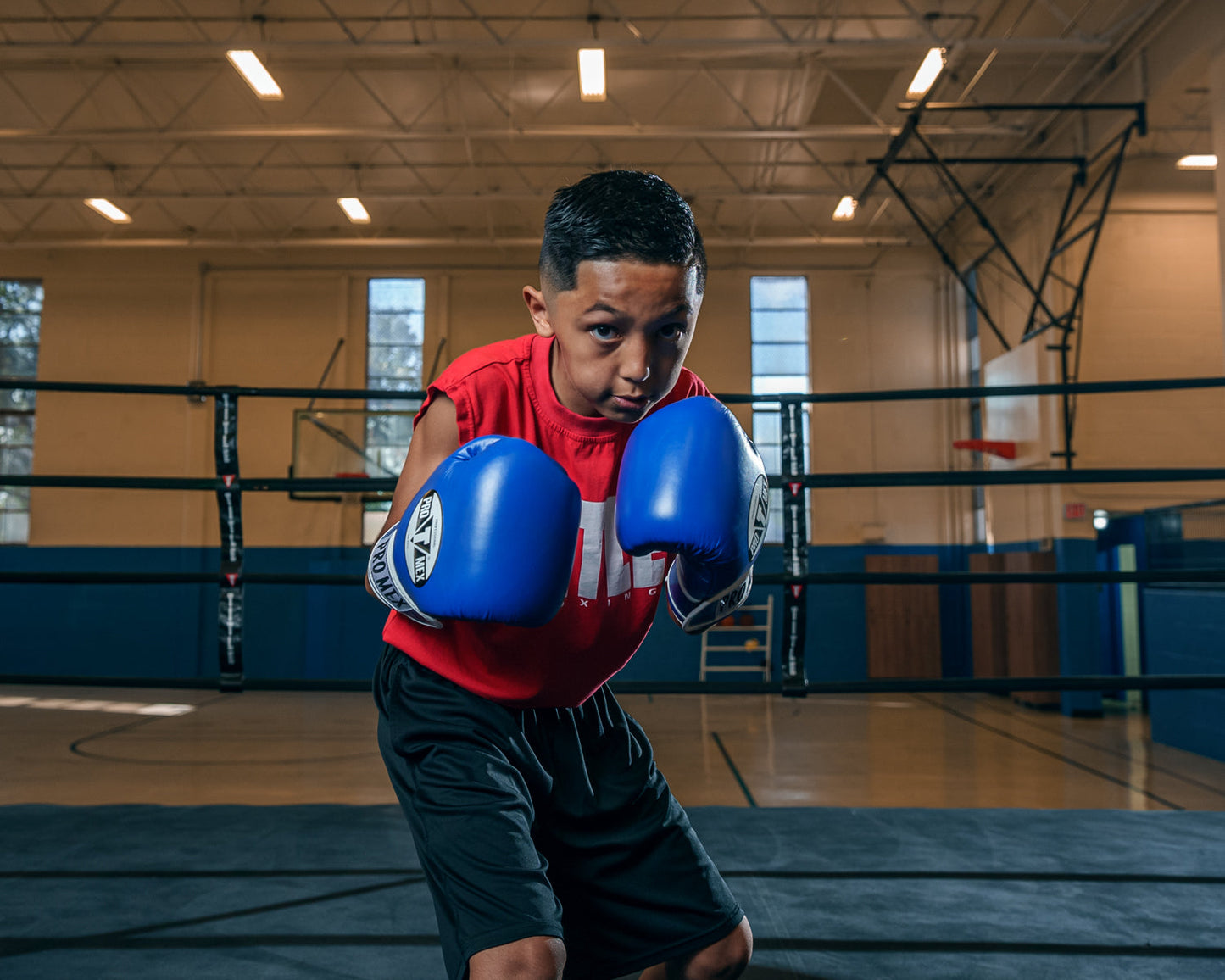 Professional Training Boxing Gloves 3.0