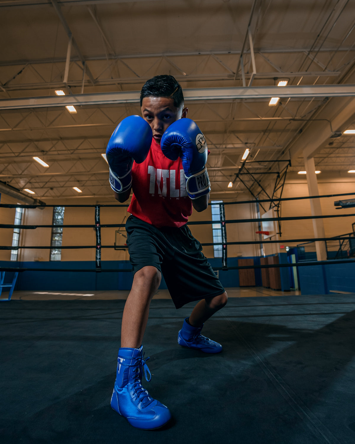 Professional Training Boxing Gloves 3.0