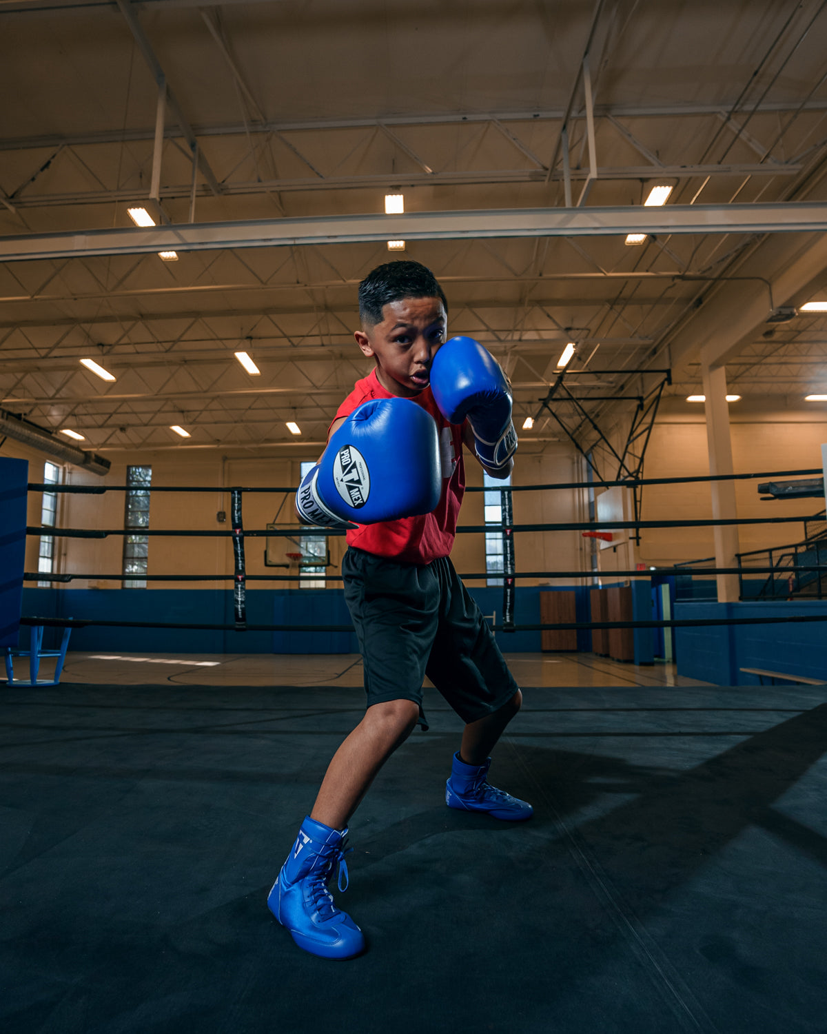 Professional Training Boxing Gloves 3.0