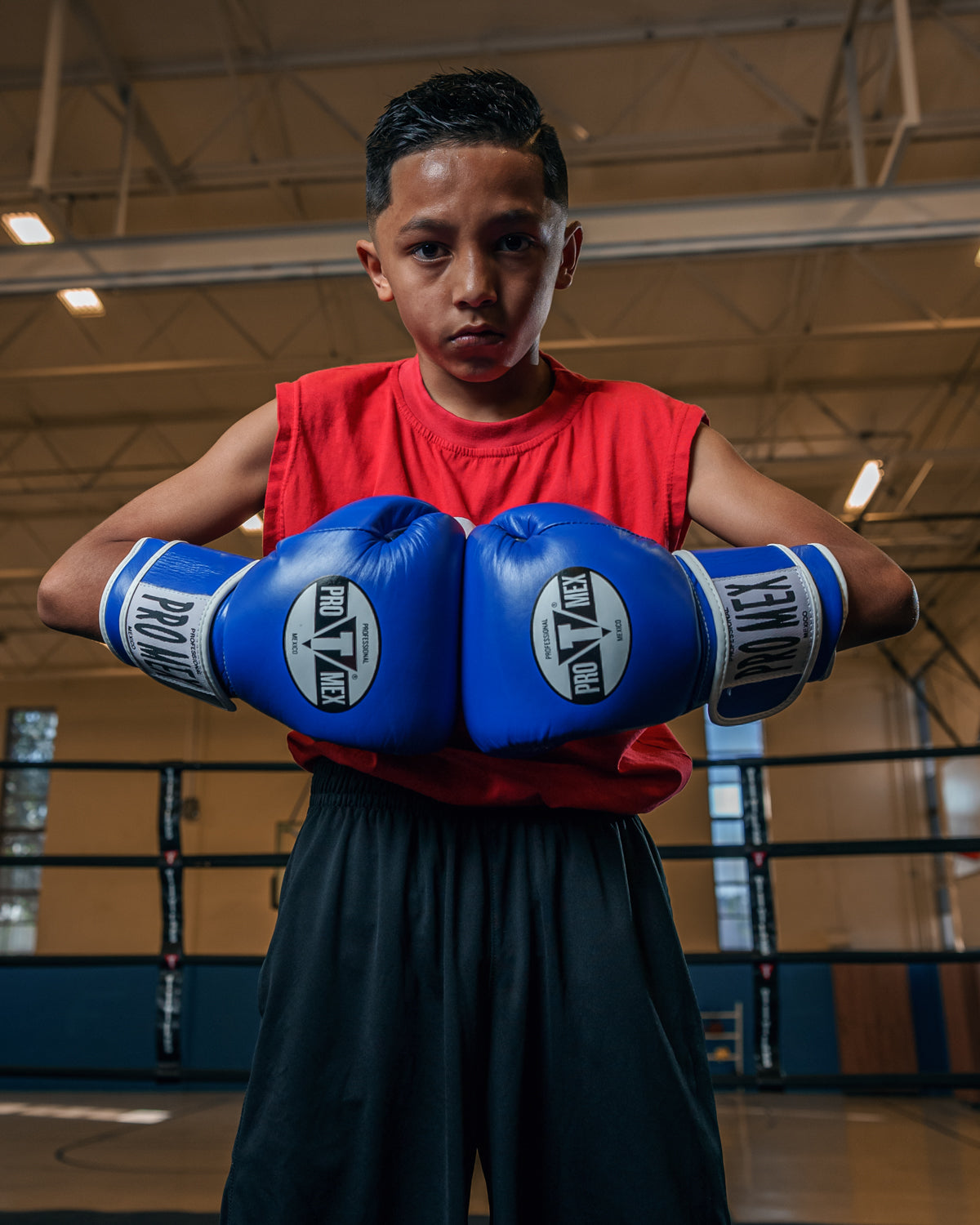 Professional Training Boxing Gloves 3.0