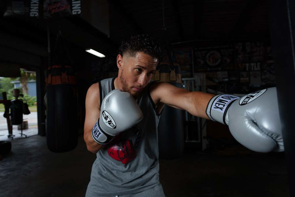 Professional Training Boxing Gloves 3.0