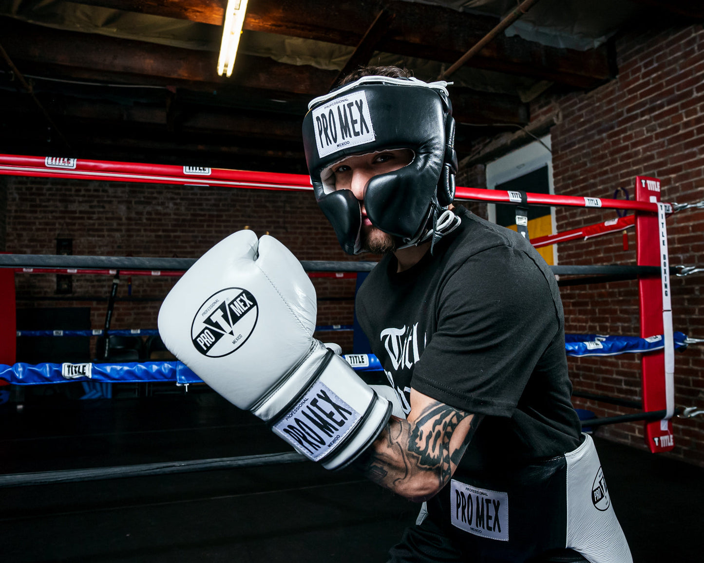 Professional Training Boxing Gloves 3.0